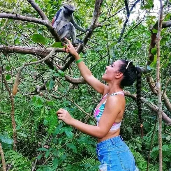 Couple’s Paradise Sailing